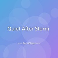 Mr Wilson - Quiet After Storm