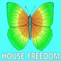 Rousing House - Northern Glow Passage