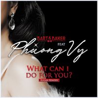 Bart&Baker - What Can I Do for You? (VietSwing Version - Rogan Remix)