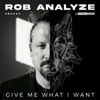 Rob Analyze - Give Me What I Want