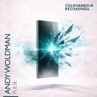 Andy Woldman - Pulse