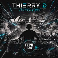 Thierry D - FESTIVAL VIBES