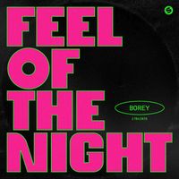 Borey - Feel Of The Night