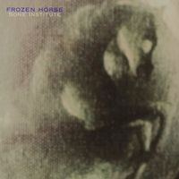 Sone Institute - Frozen Horse