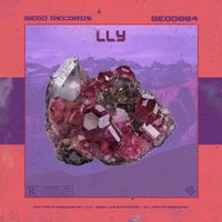 LLY - Introspection