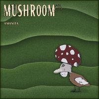 Mushroom - Amanita