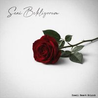Kamil Samet Selçuk - Seni Bekliyorum