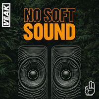 Veak - No Soft Sound