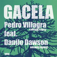 Pedro Villagra - Gacela