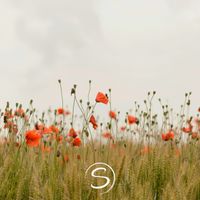 Soothly - Dewfall