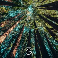 Soothly - Quiet Forest