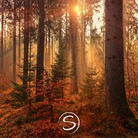 Soothly - Lumen