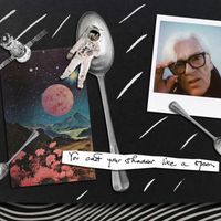 Robyn Hitchcock - My Dead Astronaut