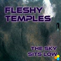 Fleshy Temples - The Sky Sits Low