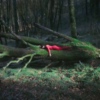 BEA - RADICI
