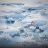 OPUS - Frozen Forest