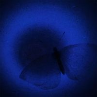 Zy - Letting Go – Like Sunshine After Rain, Pt. 2