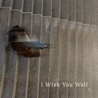 NYVE - I Wish You Well