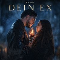 SEBO - Dein Ex