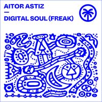 Aitor Astiz - Digital Soul (Freak)