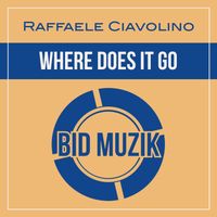 Raffaele Ciavolino - Where Does It Go