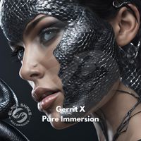Gerrit X - Pure Immersion