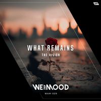 The Vision - What Remains (Radio Edit)