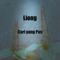liong - Cari Yang Pas