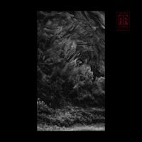 Aeger Anima - The Falling Leaves