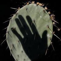 Nuage - On The Way EP