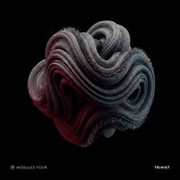Trinist - The Tides