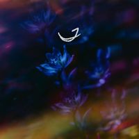 William Edessa - Afterhours