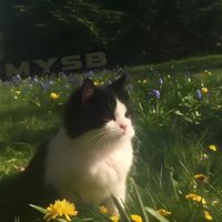 Kira - MYSB (Miss You so Bad)
