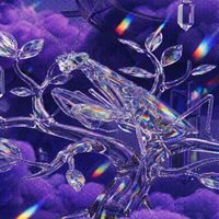 Purple Wizard - Something