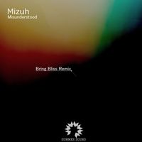 Mizuh - Misunderstood