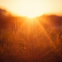 Calmer - Calming Down