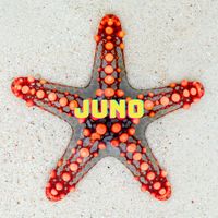 Matt Taylor - Juno