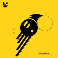 r.v.o - Tiere Der Nacht