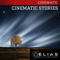 Matthew Nicholson - Cinematic Stories