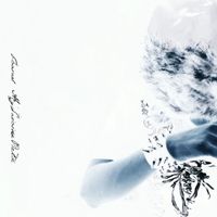 Icarus - My Suicide Note