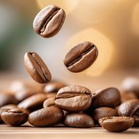 Newsense Studio - Morning Coffee