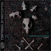 Christian Schachinger - Vision