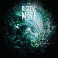 Kasino - Digital Mist