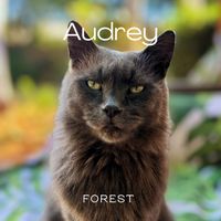 Forest - Audrey