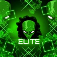 PALMER - ELITE