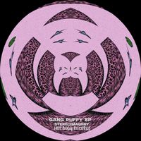 Stereoimagery - Gang Puffy EP