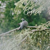 Lysergik - New Choice
