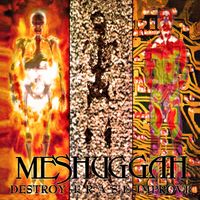 Meshuggah - Destroy Erase Improve: 30th Anniversary Edition (2026 Remastered)