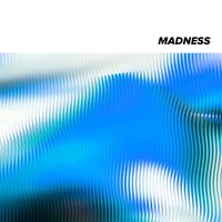 The Crooks - Madness