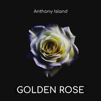 Anthony Island - Golden Rose